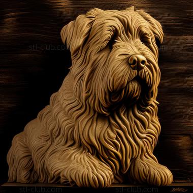 3D model st Ardennes Bouvier dog (STL)